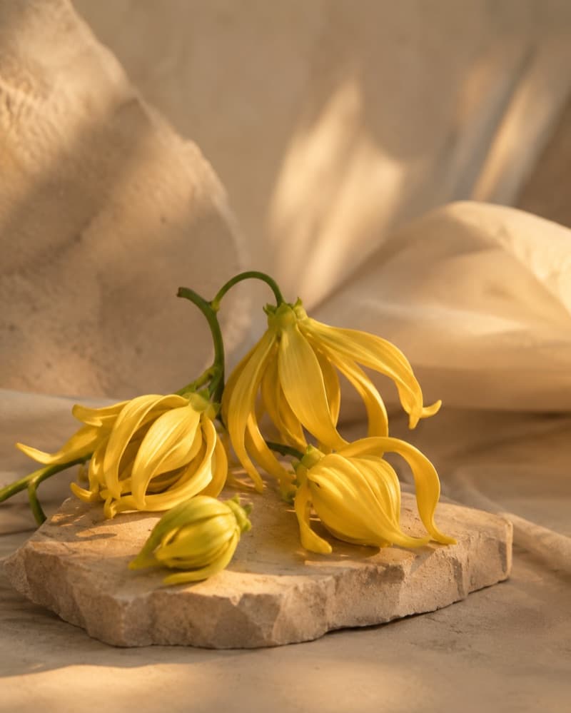 Ylang-Ylang